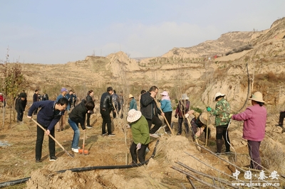 秦安县委组织部开展建设“组工林”植树活动(图)